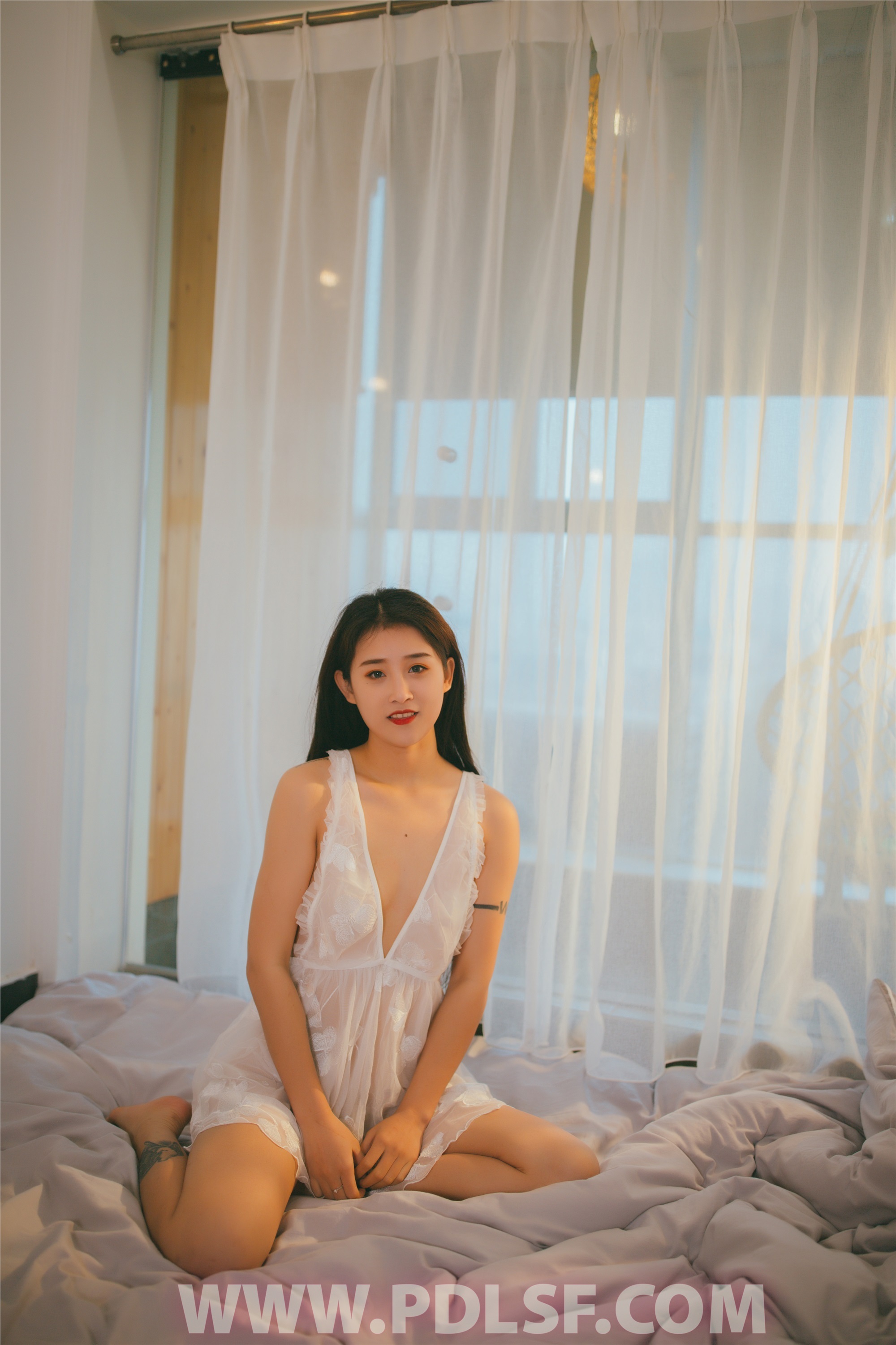 PDL潘多拉 2019.12.26 专辑No.258